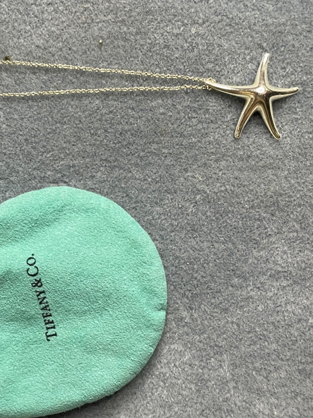 Tiffany & Co Elsa Peretti Large 28mm Starfish 16" Sterling Silver 925 Vintage